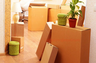 Local Shifting in Chennai
